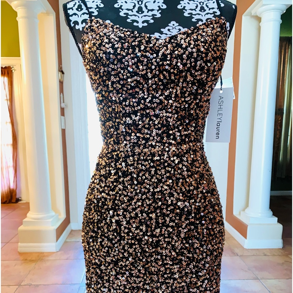 Party dress. Sequin Shimmery and stylish. Corset back New with tags.